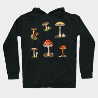 Rome Mushrooms Hoodie